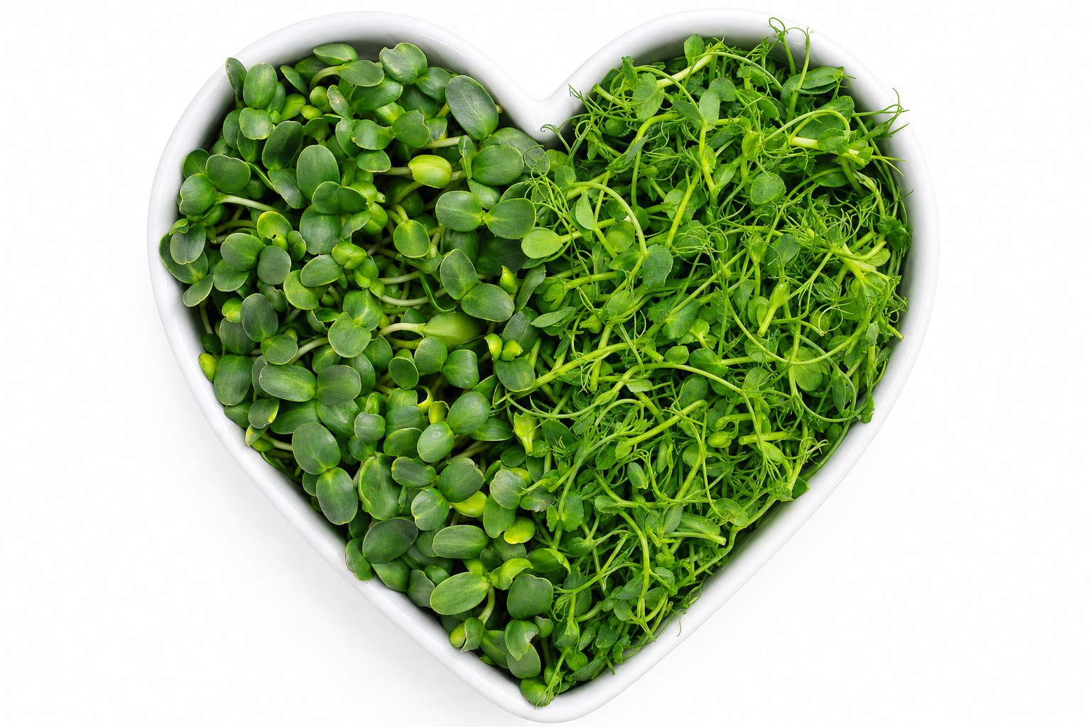 Happy Greens heart-shaped microgreens tray